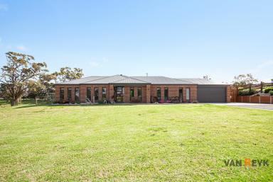 Farm For Sale - VIC - Wy Yung - 3875 - Mountain Views on the edge of Bairnsdale Township  (Image 2)