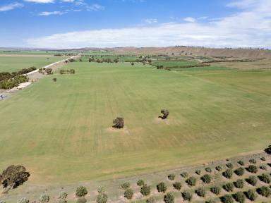 Farm For Sale - SA - Robertstown - 5381 - Farm Build Up or Entry Level  (Image 2)