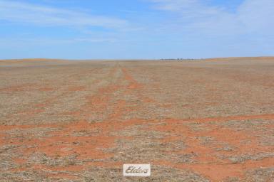 Farm For Sale - VIC - Cowangie - 3506 - Cereal Cropping and Grazing  (Image 2)