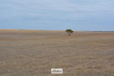 Farm For Sale - VIC - Cowangie - 3506 - Cereal Cropping and Grazing  (Image 2)