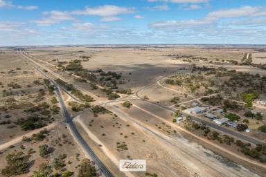 Farm For Sale - VIC - Cowangie - 3506 - Grazing or farming land.  (Image 2)