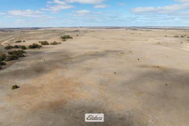 Farm For Sale - VIC - Cowangie - 3506 - Grazing or farming land.  (Image 2)