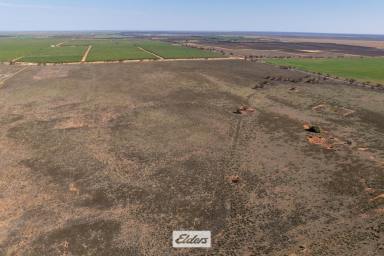 Farm For Sale - VIC - Cullulleraine - 3496 - LARGE SCALE IRRIGATION DEVELOPMENT SITE – SHOVEL READY 

759.96 HA – 1877.83 ACRES  (Image 2)