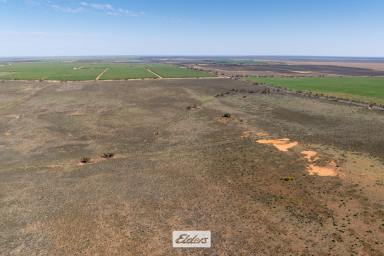 Farm For Sale - VIC - Cullulleraine - 3496 - LARGE SCALE IRRIGATION DEVELOPMENT SITE – SHOVEL READY 

759.96 HA – 1877.83 ACRES  (Image 2)