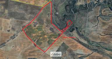 Farm For Sale - NSW - Kyalite - 2715 - "MASCOTTE FARM"

Large scale shovel ready irrigation parcel with Wakool River frontage.  (Image 2)