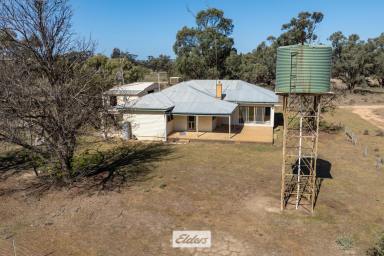 Farm For Sale - NSW - Kyalite - 2715 - "MASCOTTE FARM"

Large scale shovel ready irrigation parcel with Wakool River frontage.  (Image 2)