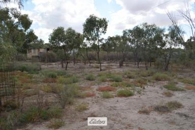 Farm For Sale - NSW - Menindee - 2879 - Rural land with access to the Darling River.  (Image 2)