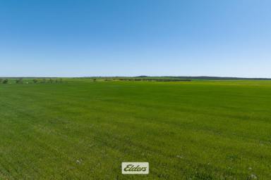 Farm For Sale - VIC - Tutye - 3490 - Large farming aggregation, Sunset Road TUTYE VIC  (Image 2)