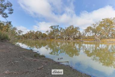 Farm For Sale - NSW - Wentworth - 2648 - "Windy Bend"  (Image 2)