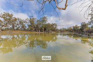 Farm For Sale - NSW - Wentworth - 2648 - "Windy Bend"  (Image 2)