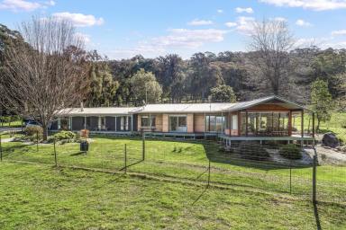 Farm For Sale - VIC - Barjarg - 3723 - Two Houses in One - Backing onto State Forest  (Image 2)