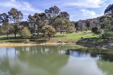 Farm For Sale - VIC - Barjarg - 3723 - Two Houses in One - Backing onto State Forest  (Image 2)