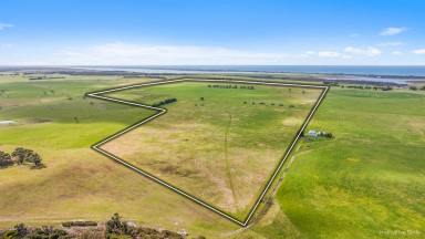 Farm For Sale - VIC - Seaspray - 3851 - PRIME GRAZING/CROPPING PROPERTY WITH BRILLIANT VIEWS OVER BASS STRAIGHT  (Image 2)