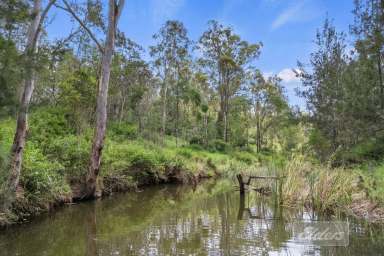 Farm For Sale - QLD - South East Nanango - 4615 - BUSH HIDEAWAY ON 23 ACRES  (Image 2)