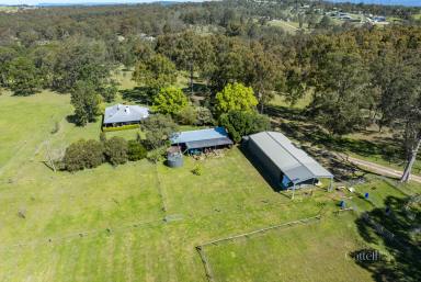 Farm For Sale - NSW - Branxton - 2335 - OLD WORLD CHARM PLUS MOUNTAIN VIEWS  (Image 2)