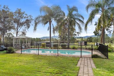 Farm For Sale - NSW - Branxton - 2335 - STUNNING MOUNTAIN VIEWS AND AWESOME LIFESTYLE  (Image 2)