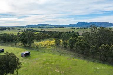 Farm For Sale - NSW - Branxton - 2335 - STUNNING MOUNTAIN VIEWS AND AWESOME LIFESTYLE  (Image 2)