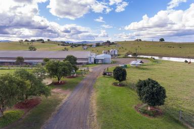 Farm For Sale - NSW - Lochinvar - 2321 - DUAL OCCUPANCY - INCOME-PRODUCING, HIGH YIELD  (Image 2)