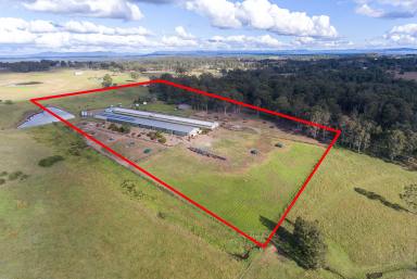 Farm For Sale - NSW - Lochinvar - 2321 - DUAL OCCUPANCY - INCOME-PRODUCING, HIGH YIELD  (Image 2)