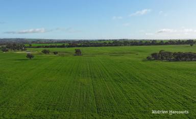 Farm For Sale - WA - Katanning - 6317 - Coollaroo - A Business for All  (Image 2)