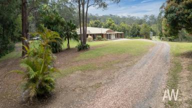 Farm For Sale - QLD - Cooloolabin - 4560 - Hinterland Oasis close to Yandina  (Image 2)