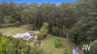 Farm For Sale - QLD - Cooloolabin - 4560 - Hinterland Oasis close to Yandina  (Image 2)