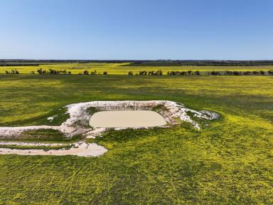 Farm For Sale - WA - Broomehill East - 6318 - Top Block  (Image 2)