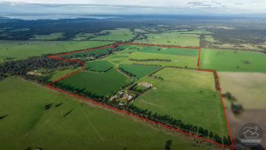 Farm Auction - VIC - Moora - 3612 - 'Gracedale' RUSHWORTH-COLBINABBIN DISTRICT  (Image 2)