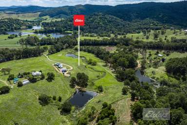 Farm For Sale - QLD - Cedar Pocket - 4570 - The ULTIMATE Premium Acreage Property.  (Image 2)