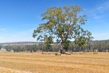 Farm Tender - NSW - The Rock - 2655 - Offers Invited - affordable rural land & lifestyle  (Image 2)