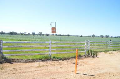 Farm For Sale - NSW - The Rock - 2655 - Eagle Ridge - affordable rural land & lifestyle  (Image 2)