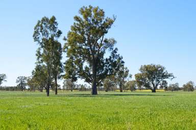 Farm For Sale - NSW - The Rock - 2655 - Eagle Ridge - A rural lifestyle development opportunity  (Image 2)