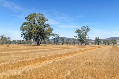 Farm Tender - NSW - The Rock - 2655 - Offers Invited - affordable rural land & lifestyle  (Image 2)