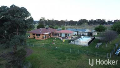 Farm For Sale - NSW - Inverell - 2360 - 'Live Off The Land' – The Complete Package  (Image 2)