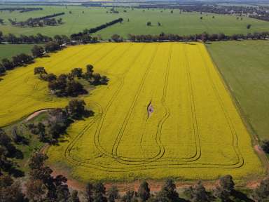 Farm For Sale - NSW - Ariah Park - 2665 - 41 Acres + Dwelling Entitlement* + Town Water  (Image 2)