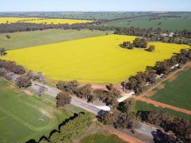 Farm For Sale - NSW - Ariah Park - 2665 - 41 Acres + Dwelling Entitlement* + Town Water  (Image 2)