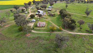 Farm Sold - NSW - Gooloogong - 2805 - Expansion Opportunity  (Image 2)