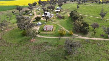 Farm For Sale - NSW - Gooloogong - 2805 - Expansion Opportunity  (Image 2)