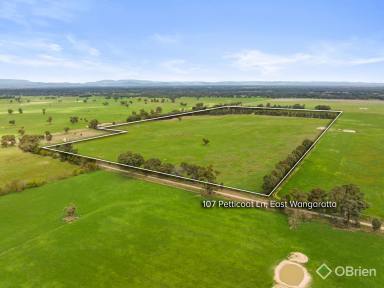 Farm For Sale - VIC - Wangaratta - 3677 - Land a plenty  (Image 2)