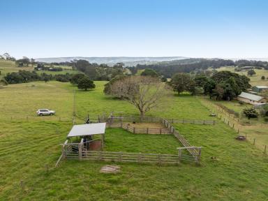 Farm Auction - QLD - Ravensbourne - 4352 - A True High Country Escape - 83.3* Acres - 2 Titles - 2 Road Access - Plentiful Water - Rich Fertile Soil!  (Image 2)