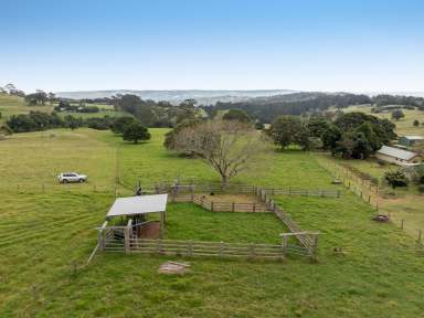 Farm Auction - QLD - Ravensbourne - 4352 - A True High Country Escape - 83.3* Acres - 2 Titles - 2 Road Access - Plentiful Water - Rich Fertile Soil!  (Image 2)