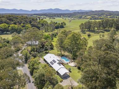 Farm For Sale - NSW - Bellingen - 2454 - Private Quiet location set on 5 acres with a Lifestyle ready to Enjoy!  (Image 2)