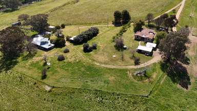 Farm For Sale - NSW - Canowindra - 2804 - Millambri  (Image 2)