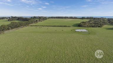 Farm For Sale - VIC - Somers - 3927 - Dream Seaside Location  (Image 2)