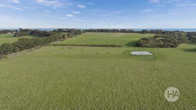 Farm For Sale - VIC - Somers - 3927 - Dream Seaside Location  (Image 2)