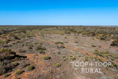 Farm For Sale - SA - Monash - 5342 - Diverse Riverland landholding with 6 allotments  (Image 2)