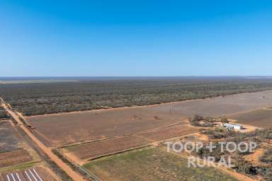 Farm For Sale - SA - Monash - 5342 - Diverse Riverland landholding with 6 allotments  (Image 2)