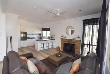 Farm For Sale - VIC - Stanhope - 3623 - Immaculate Lifestyle Property  (Image 2)