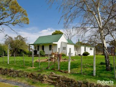 Farm For Sale - TAS - Ellendale - 7140 - Fantastic Working Farm in a Great Location  (Image 2)