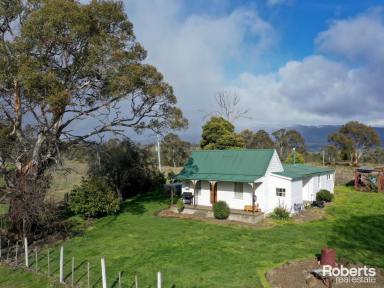 Farm For Sale - TAS - Ellendale - 7140 - Fantastic Working Farm in a Great Location  (Image 2)